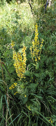 Similar image 22664308