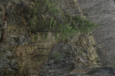 Similar image 22647900