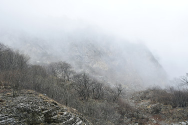 Similar image 22648129