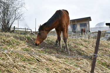 Similar image 22648281