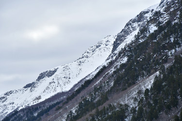 Similar image 22648057