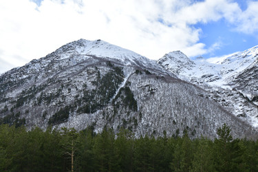 Similar image 22648114