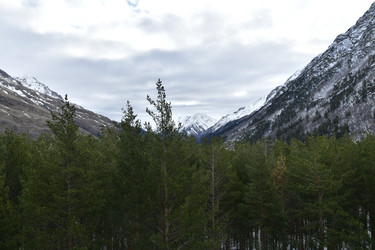 Similar image 22648116