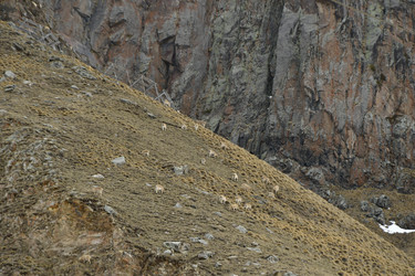 Similar image 22648117