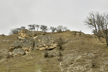 Similar image 22648130