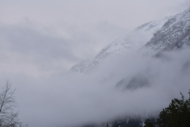 Similar image 22648155