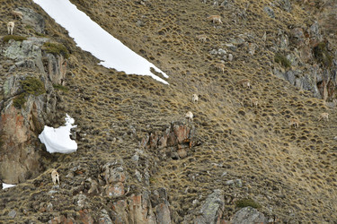 Similar image 22648157