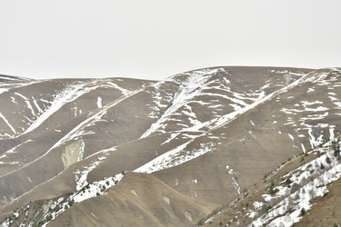 Similar image 22648477