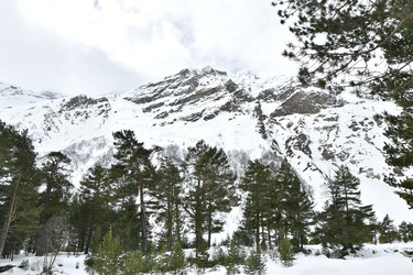 Similar image 22648490