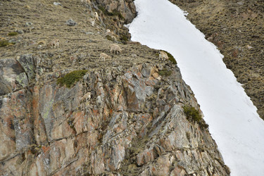 Similar image 22648491