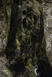 Similar image 22647846