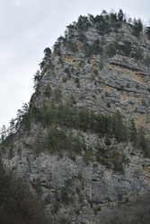 Similar image 22647859