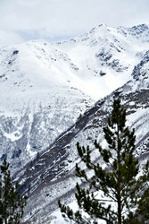 Similar image 22647860