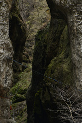 Similar image 22647862