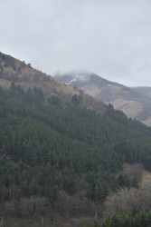 Similar image 22647891