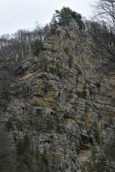 Similar image 22647906