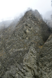 Similar image 22647920