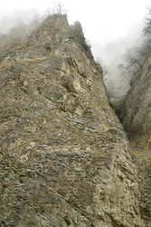 Similar image 22647948