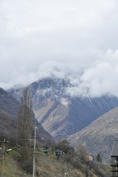 Similar image 22647951