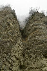 Similar image 22647952