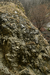 Similar image 22647996