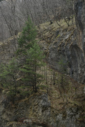 Similar image 22648012