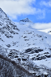 Similar image 22648147