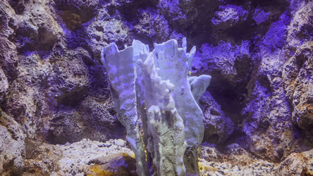 Similar image 22712670