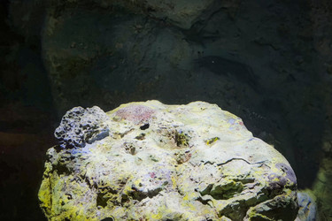 Similar image 22712656
