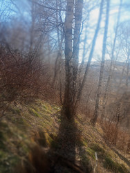 Similar image 22679272