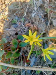 Similar image 22662471