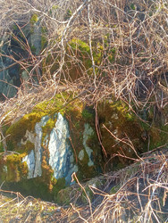 Similar image 22666322