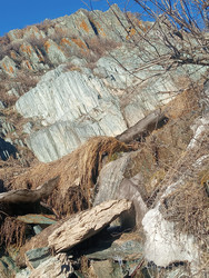 Similar image 22666325