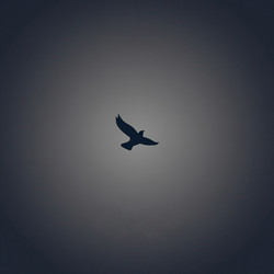 Similar image 22718269
