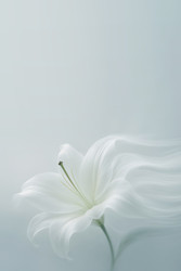 Similar image 22712730