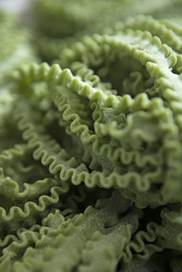 Similar image 22718010