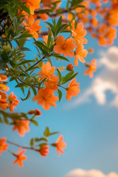 Similar image 22654851