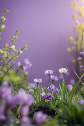 Similar image 22656905