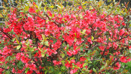 Similar image 22668647