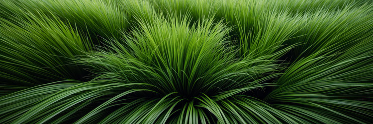 Similar image 22657684