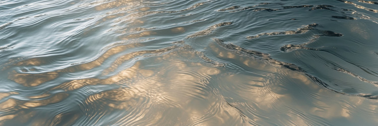 Similar image 22657713