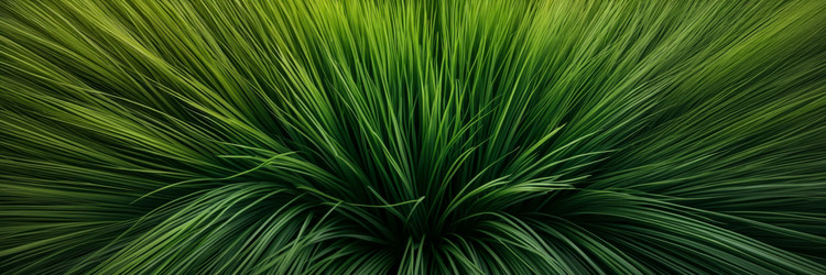 Similar image 22657909