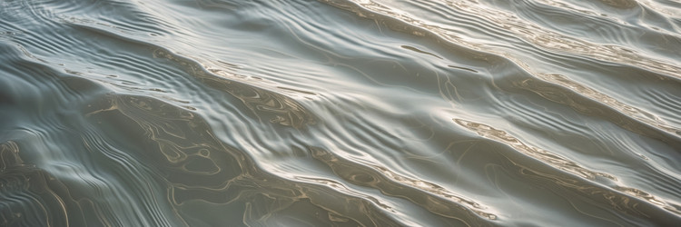 Similar image 22658029