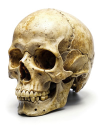 Similar image 22681610