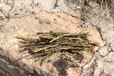 Similar image 22670020