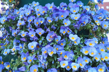 Similar image 22703860