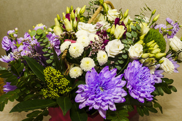 Similar image 22673299