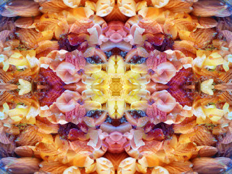 Similar image 22692722