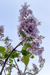 Similar image 22658003