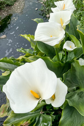 Similar image 22658288